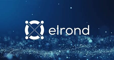 Elrond (EGLD) Yüksek Performanslı Blockchain Gelişmeleri