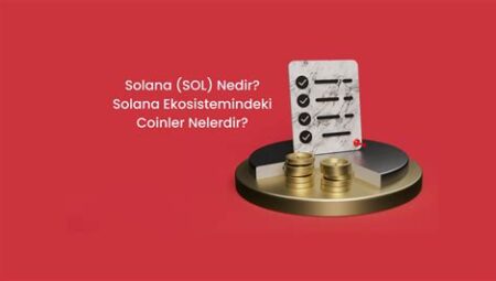 Solana (SOL) Ekosistemindeki Projeler ve Yenilikler